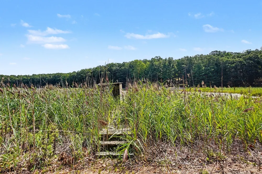 11023 S Roby Lake Drive Lake Township, MI 49304