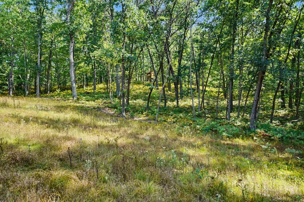 11023 S Roby Lake Drive Lake Township, MI 49304