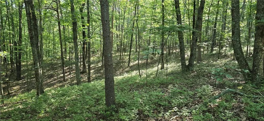 1356 Firetower Road Jasper, GA 30143
