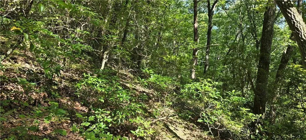 1356 Firetower Road Jasper, GA 30143