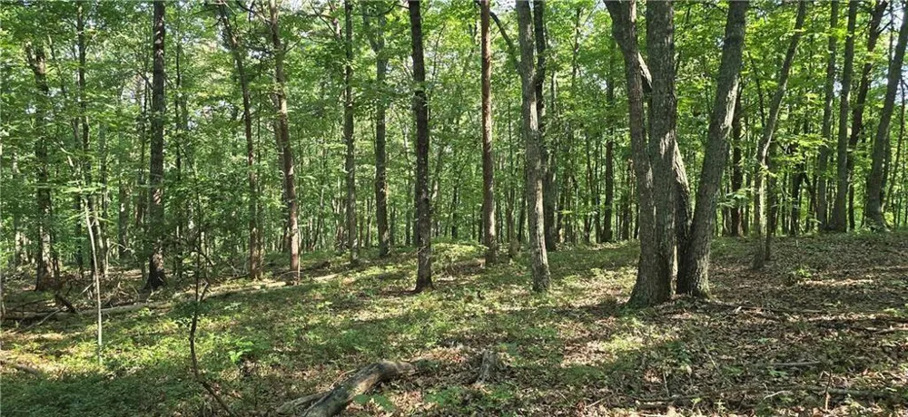 1356 Firetower Road Jasper, GA 30143