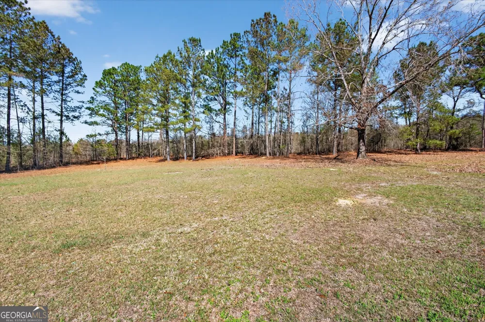 395 Winchester RD Sylvania, GA 30467