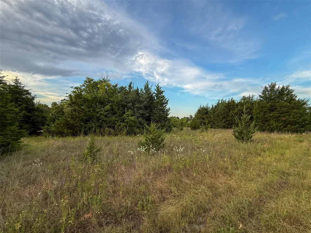 US HIGHWAY 82 Honey Grove, TX 75446