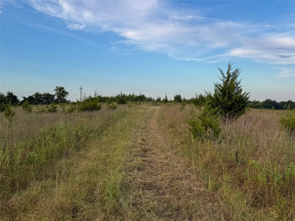 US HIGHWAY 82 Honey Grove, TX 75446