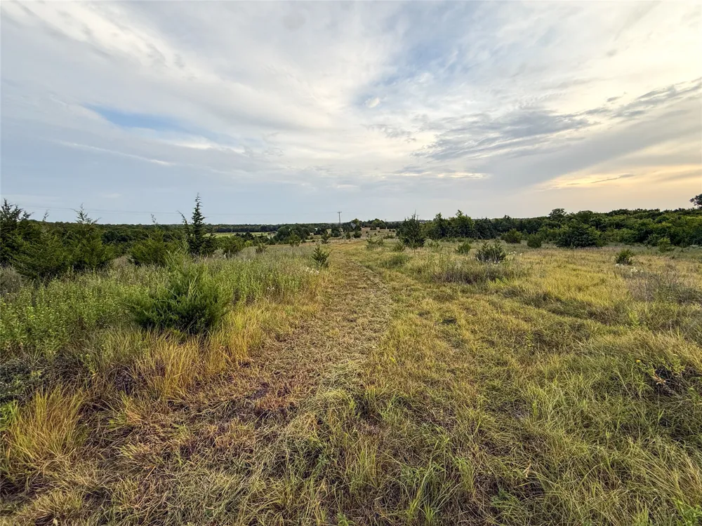 US HIGHWAY 82 Honey Grove, TX 75446