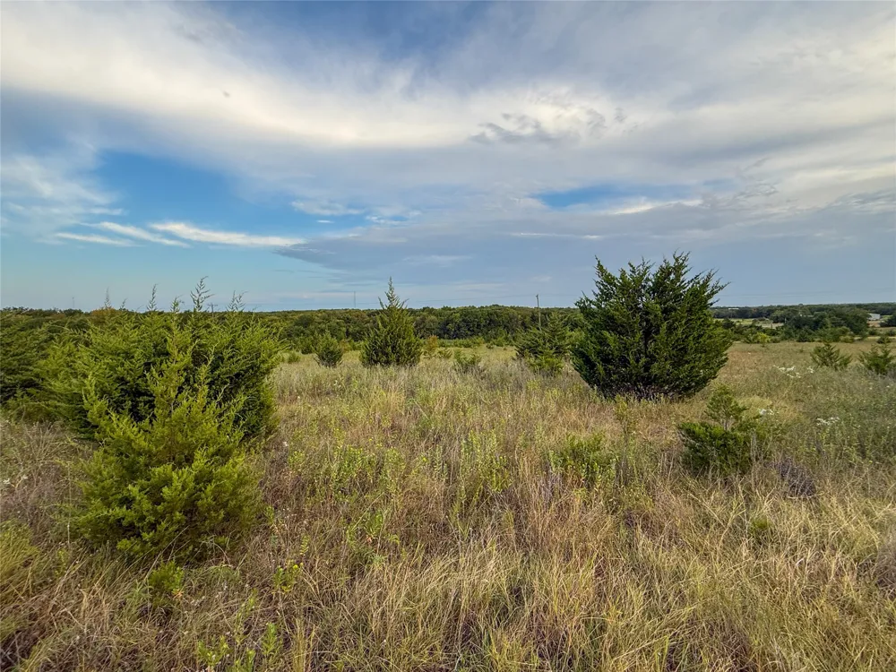 US HIGHWAY 82 Honey Grove, TX 75446