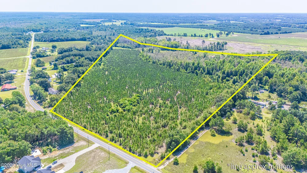 Tbd Blue Springs Road Red Springs, NC 28377