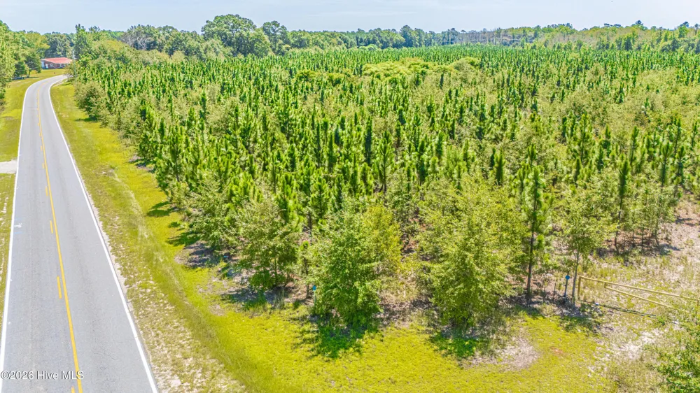 Tbd Blue Springs Road Red Springs, NC 28377
