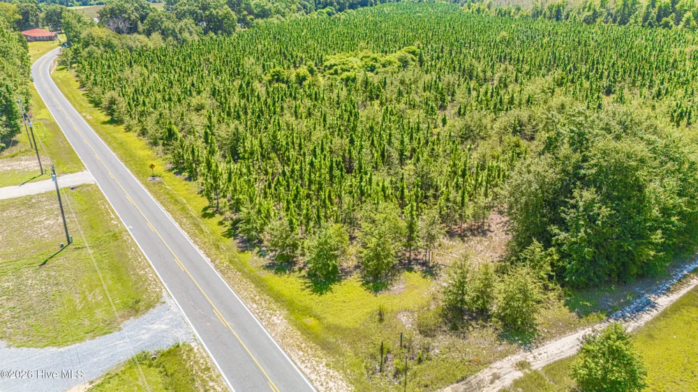 Tbd Blue Springs Road Red Springs, NC 28377