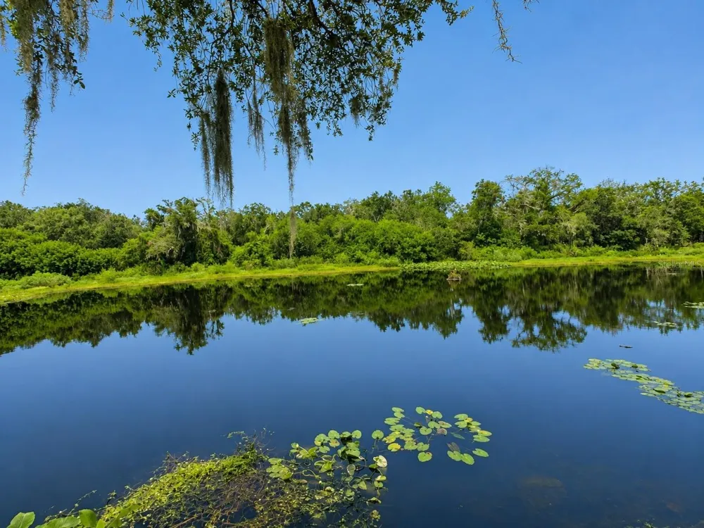 2625 STATE ROAD 590 #1123 Clearwater, FL 33759