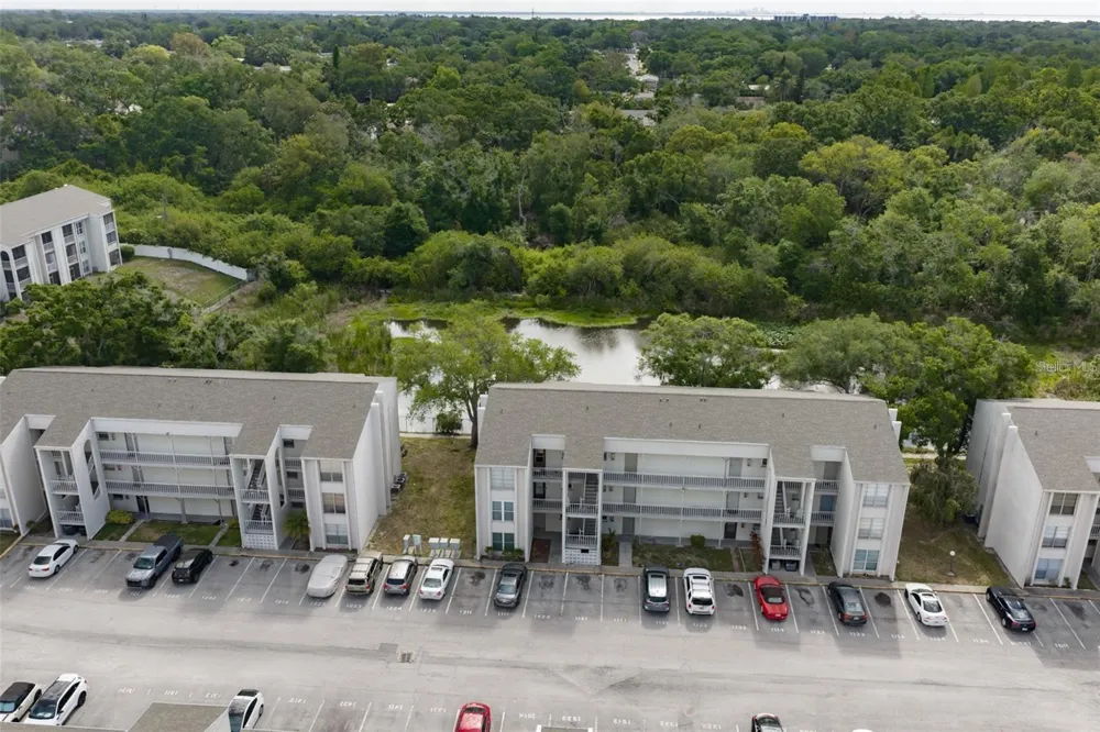 2625 STATE ROAD 590 #1123 Clearwater, FL 33759