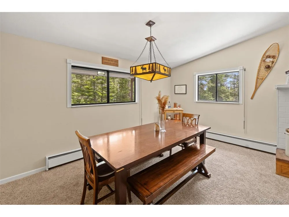 218 Brook Drive Idaho Springs, CO 80452