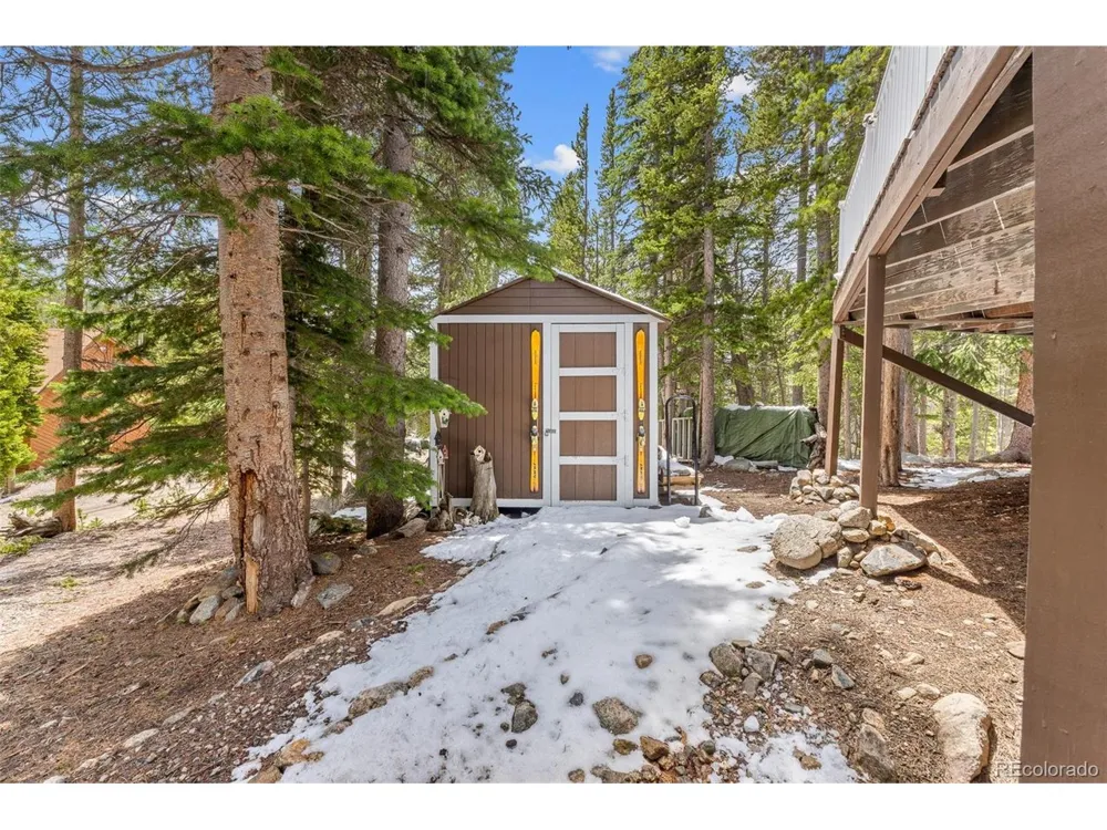218 Brook Drive Idaho Springs, CO 80452