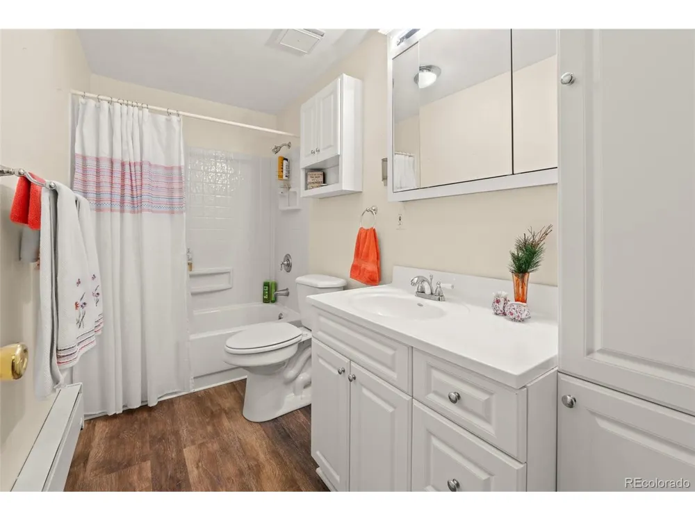 218 Brook Drive Idaho Springs, CO 80452
