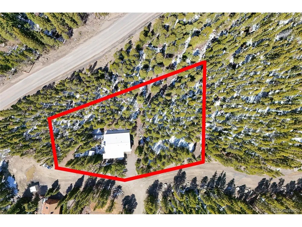 218 Brook Drive Idaho Springs, CO 80452