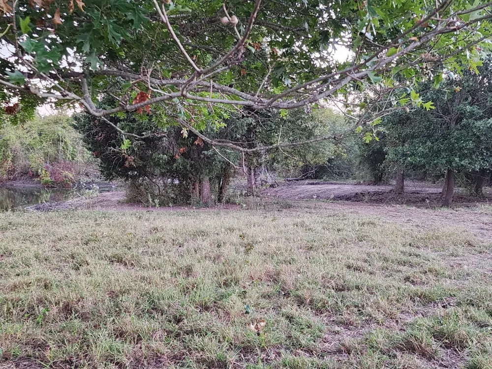 2126 County Road 3035 Bonham, TX 75418