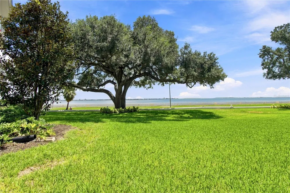 3325 BAYSHORE BOULEVARD #A12 Tampa, FL 33629