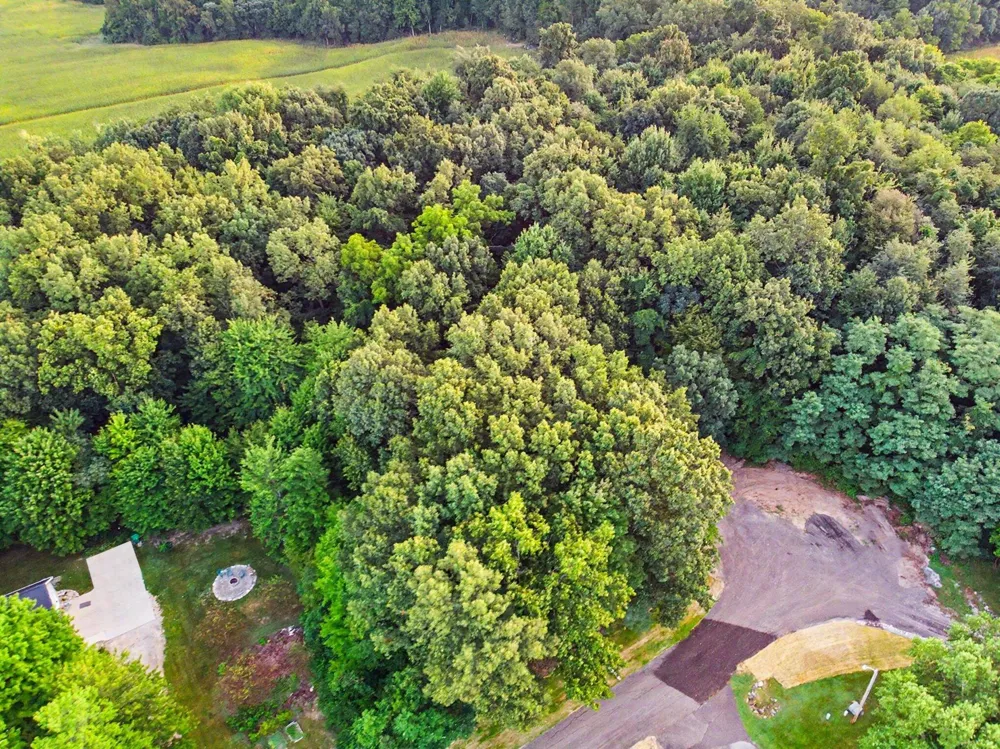 Harris Lane Niles, MI 49120
