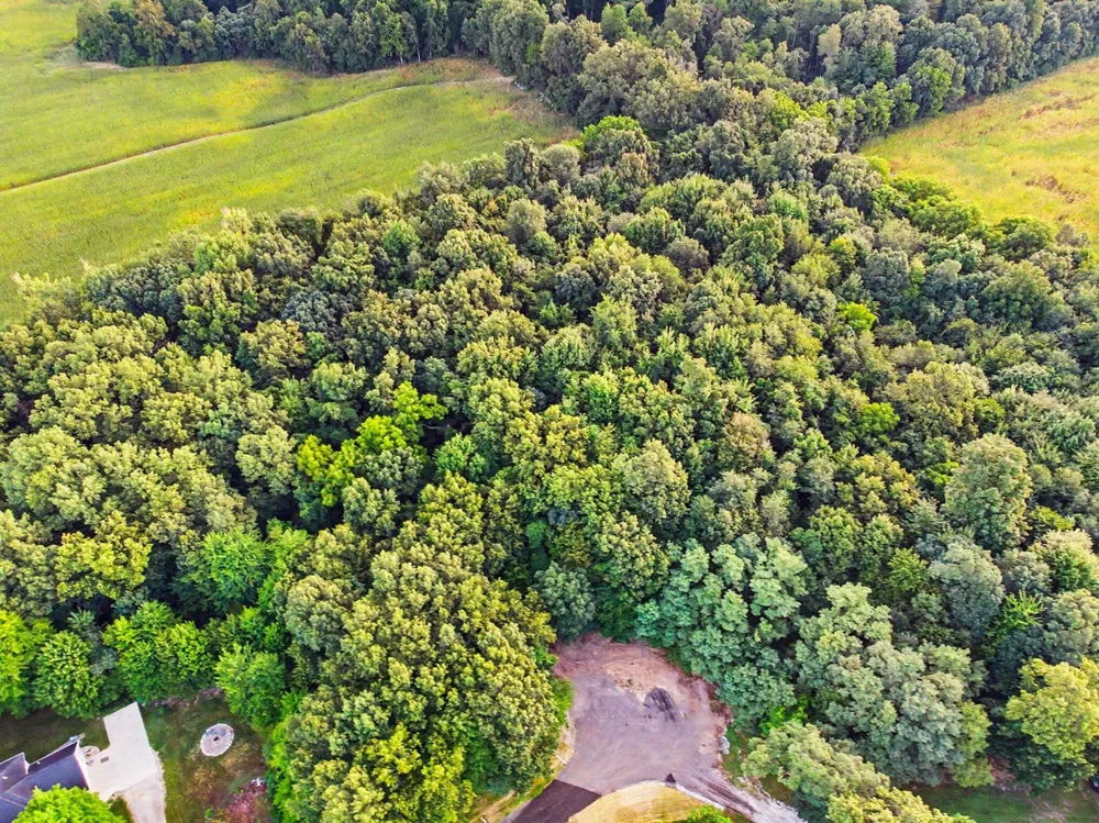 Harris Lane Niles, MI 49120