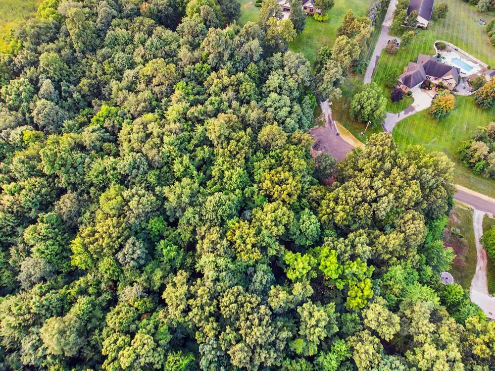 Harris Lane Niles, MI 49120