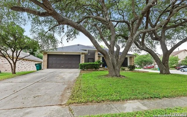 7733 Forest Live Oak, TX 78233