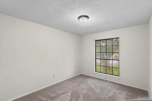 7733 Forest Live Oak, TX 78233
