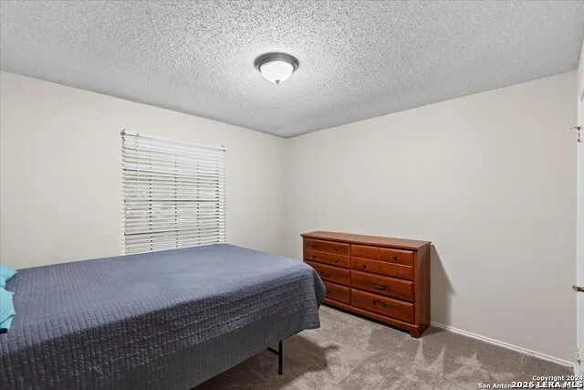 7733 Forest Live Oak, TX 78233