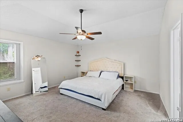 7733 Forest Live Oak, TX 78233