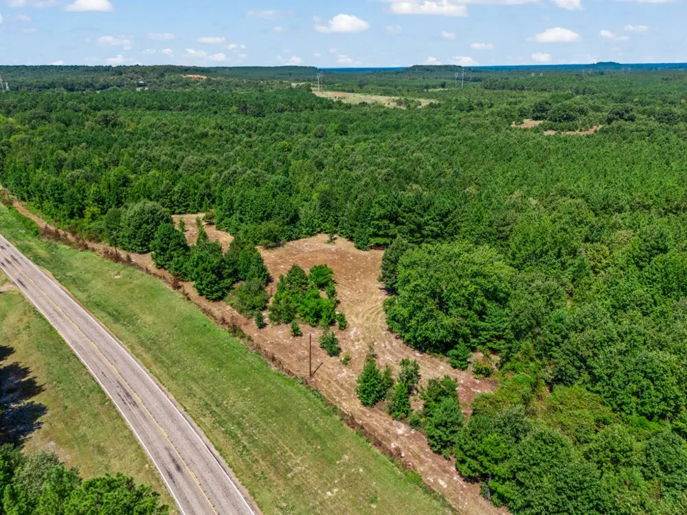 12843 FM 2796 Pittsburg, TX 75686