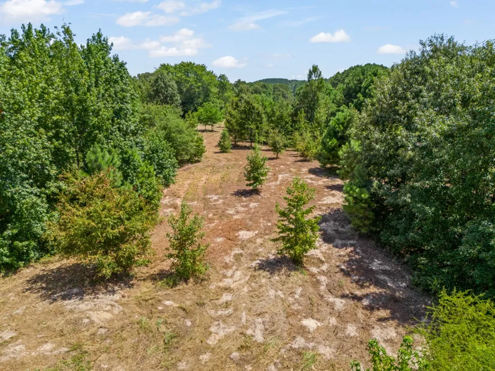 12843 FM 2796 Pittsburg, TX 75686