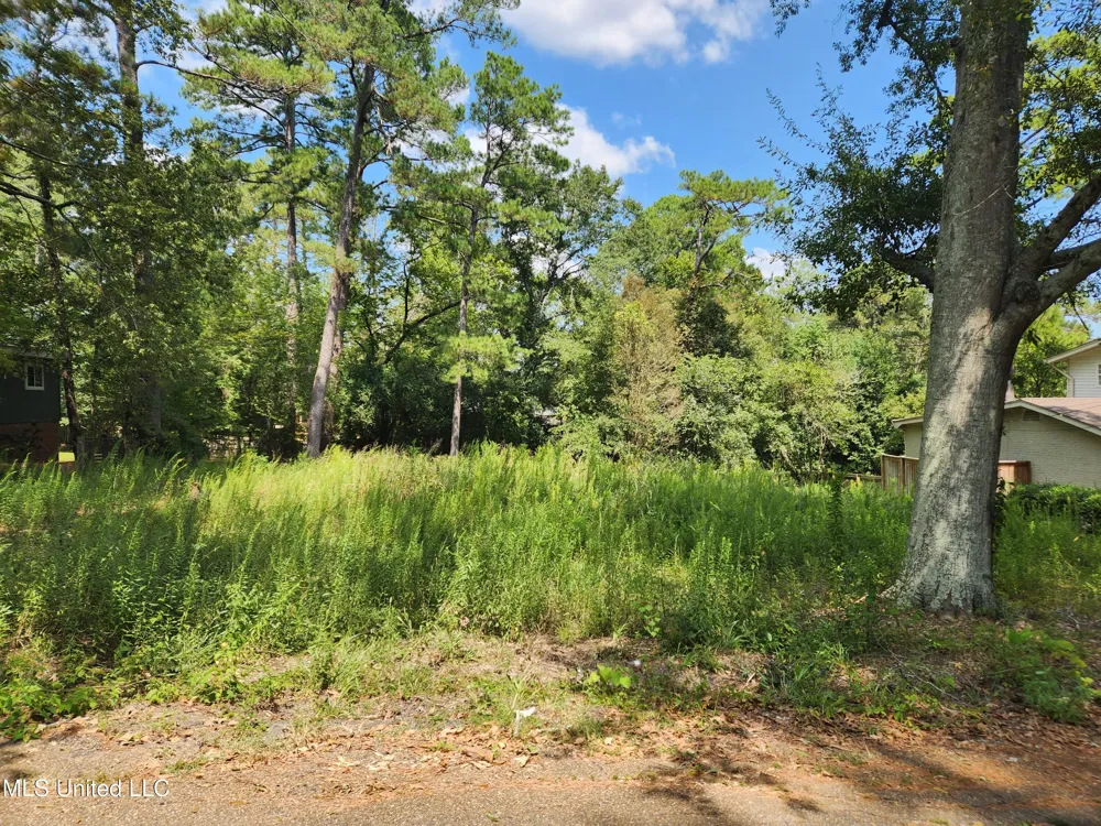 1766 Hillview Drive Jackson, MS 39211