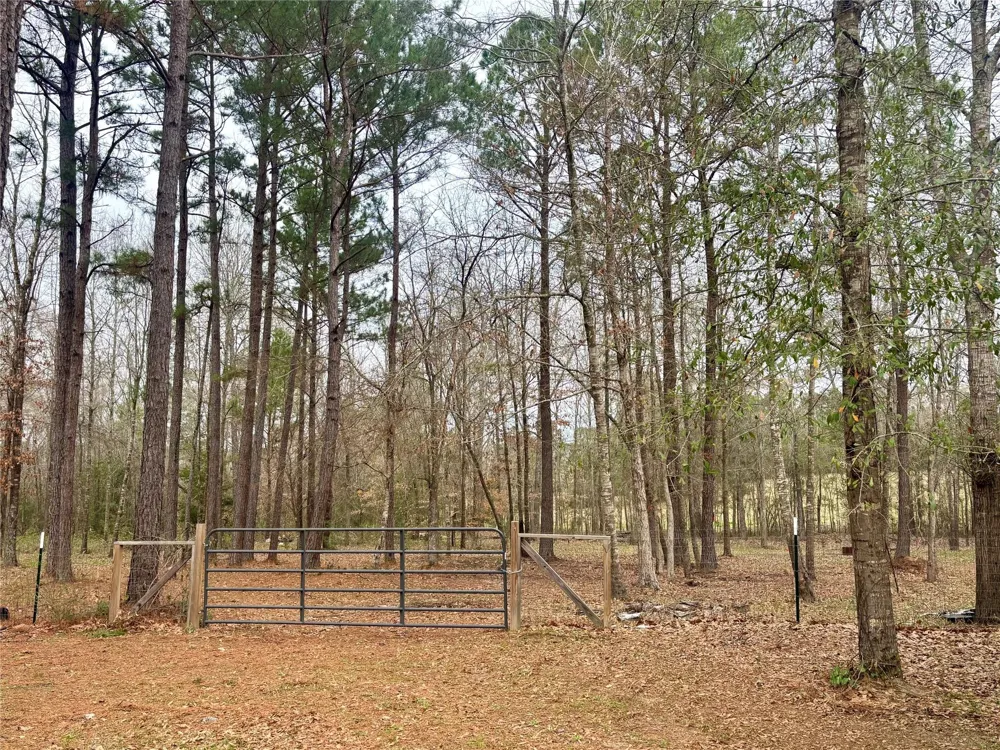 1580 Fm 1745 Colmesneil, TX 75938