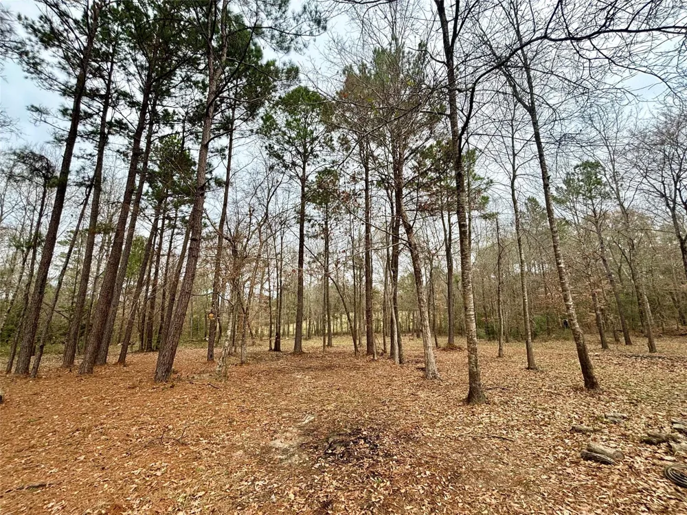 1580 Fm 1745 Colmesneil, TX 75938