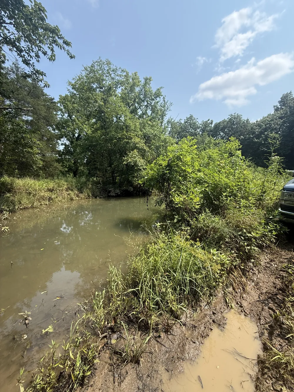 2395 Mount Lebanon Rd Lewisburg, TN 37091