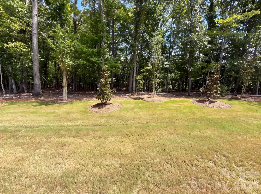 1032 Bandon Drive Waxhaw, NC 28173