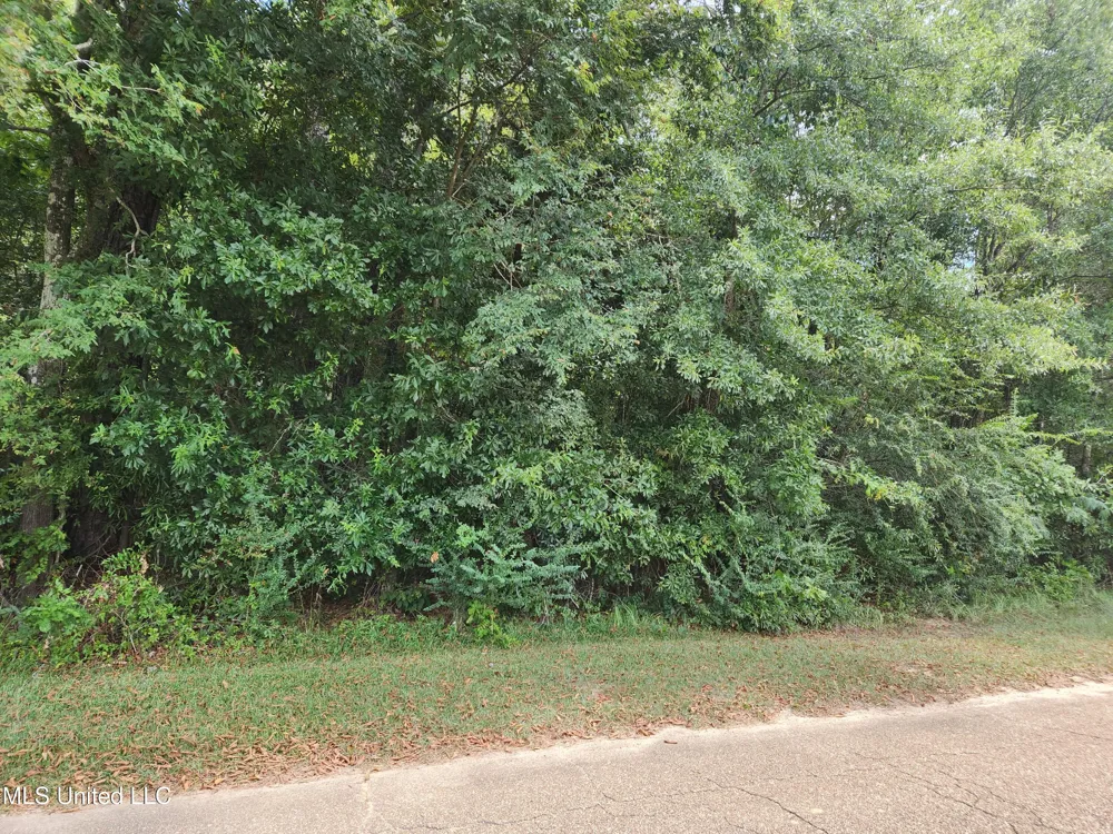 000 Old Byram Road Jackson, MS 39212