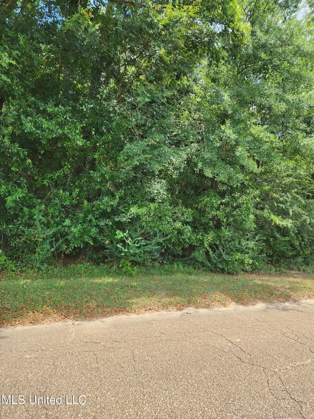 000 Old Byram Road Jackson, MS 39212
