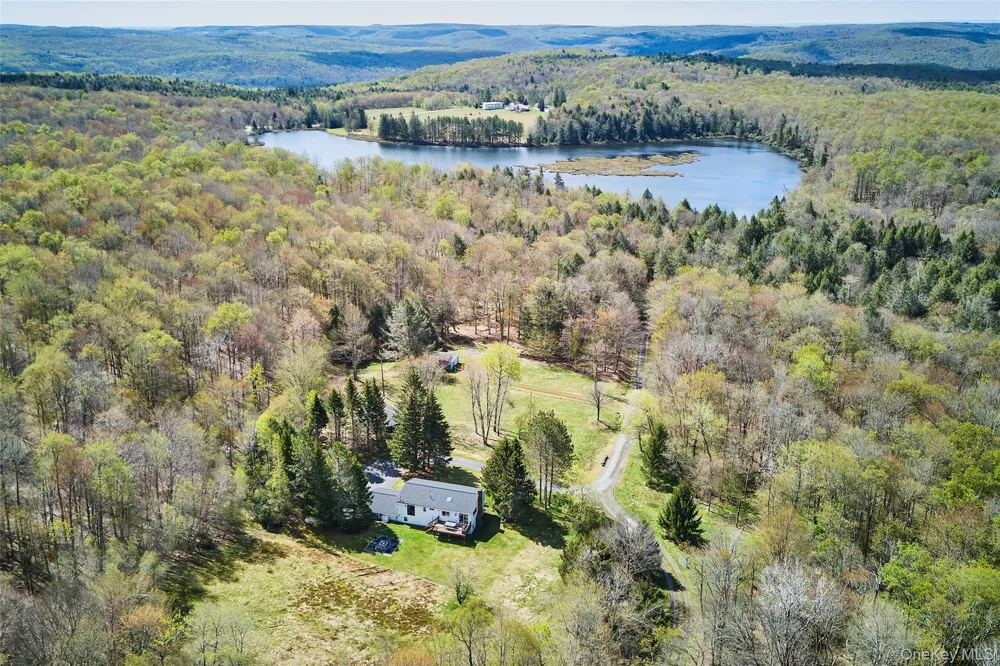 453 Little Ireland Road Livingston Manor, NY 12758