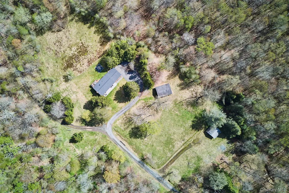 453 Little Ireland Road Livingston Manor, NY 12758
