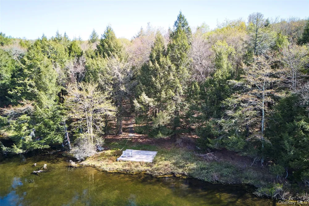 453 Little Ireland Road Livingston Manor, NY 12758
