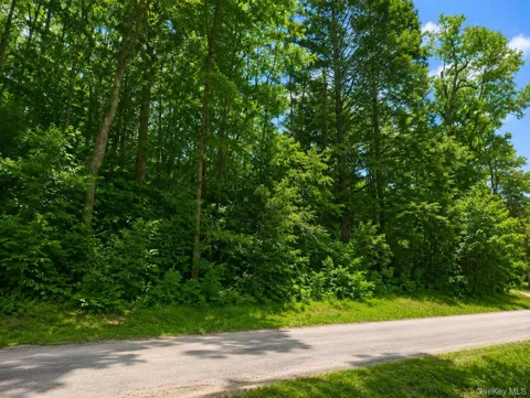 Benton Hollow Road