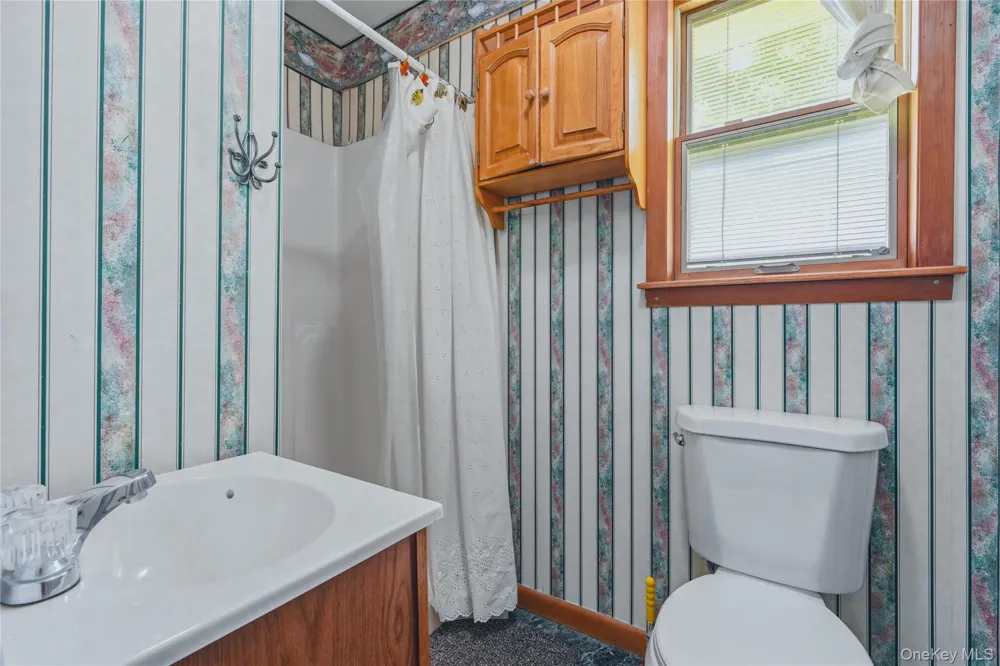 59 Carle Terrace Lake Katrine, NY 12449