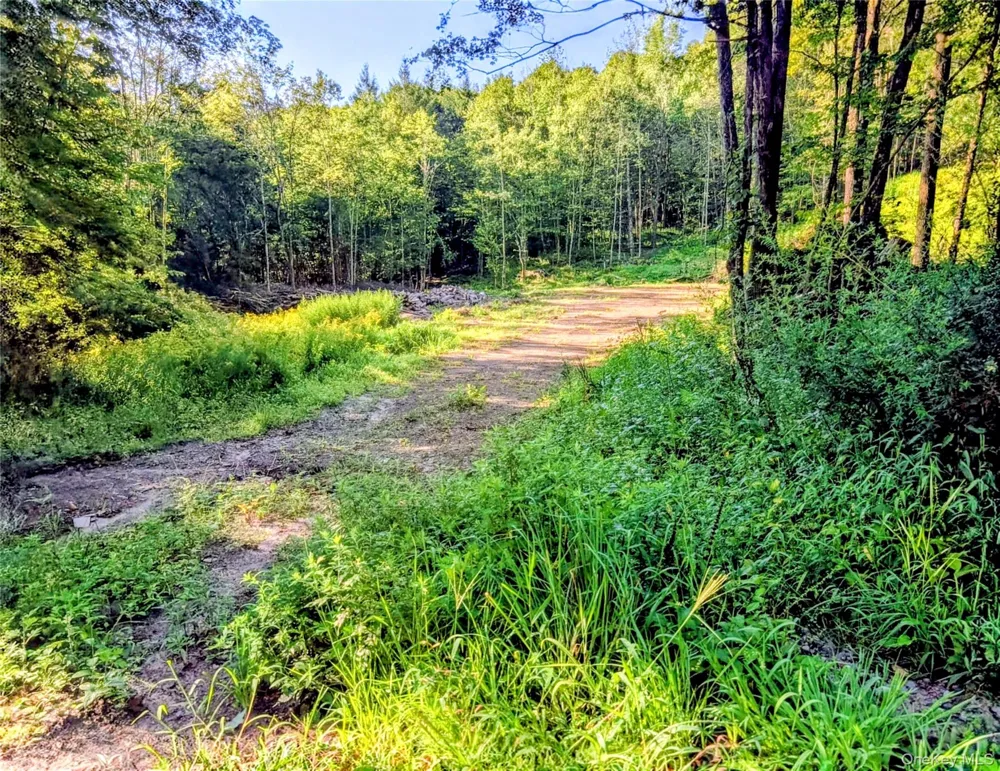 Hurd Road Swan Lake, NY 12720
