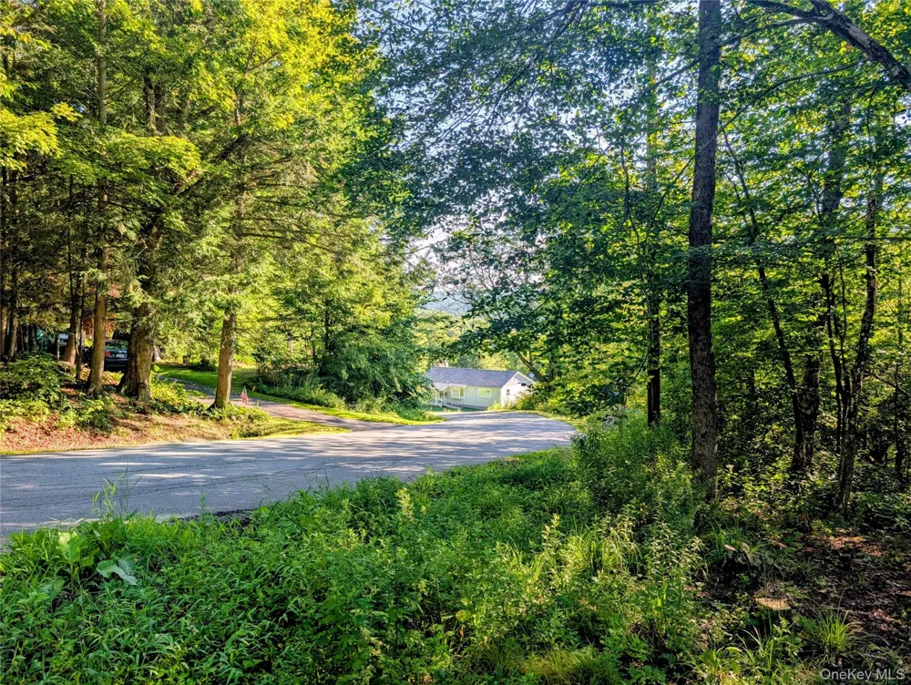 Hurd Road Swan Lake, NY 12720