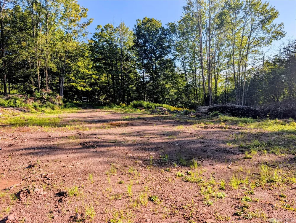 Hurd Road Swan Lake, NY 12720
