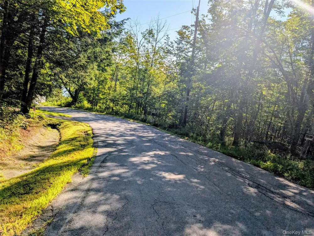 Hurd Road Swan Lake, NY 12720