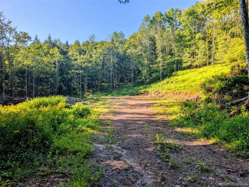 Hurd Road Swan Lake, NY 12720