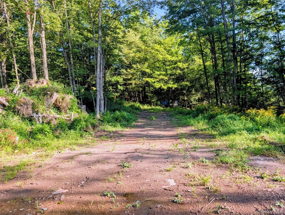 Hurd Road Swan Lake, NY 12720