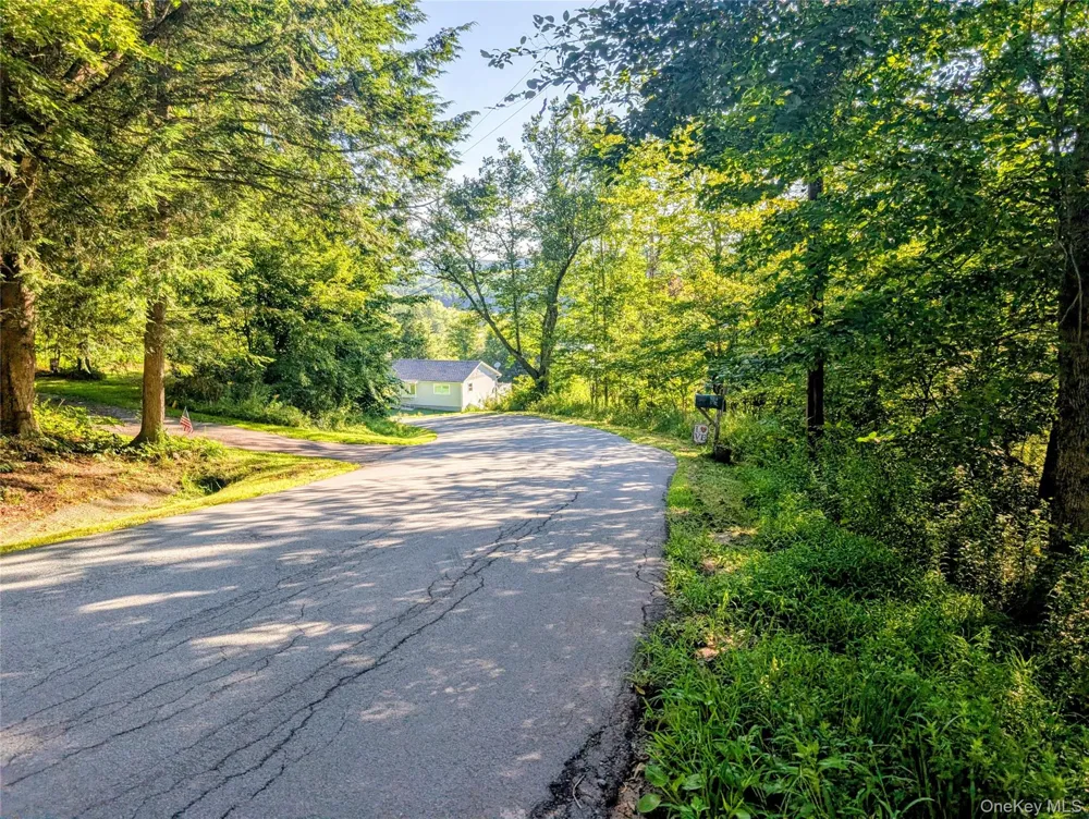 Hurd Road Swan Lake, NY 12720