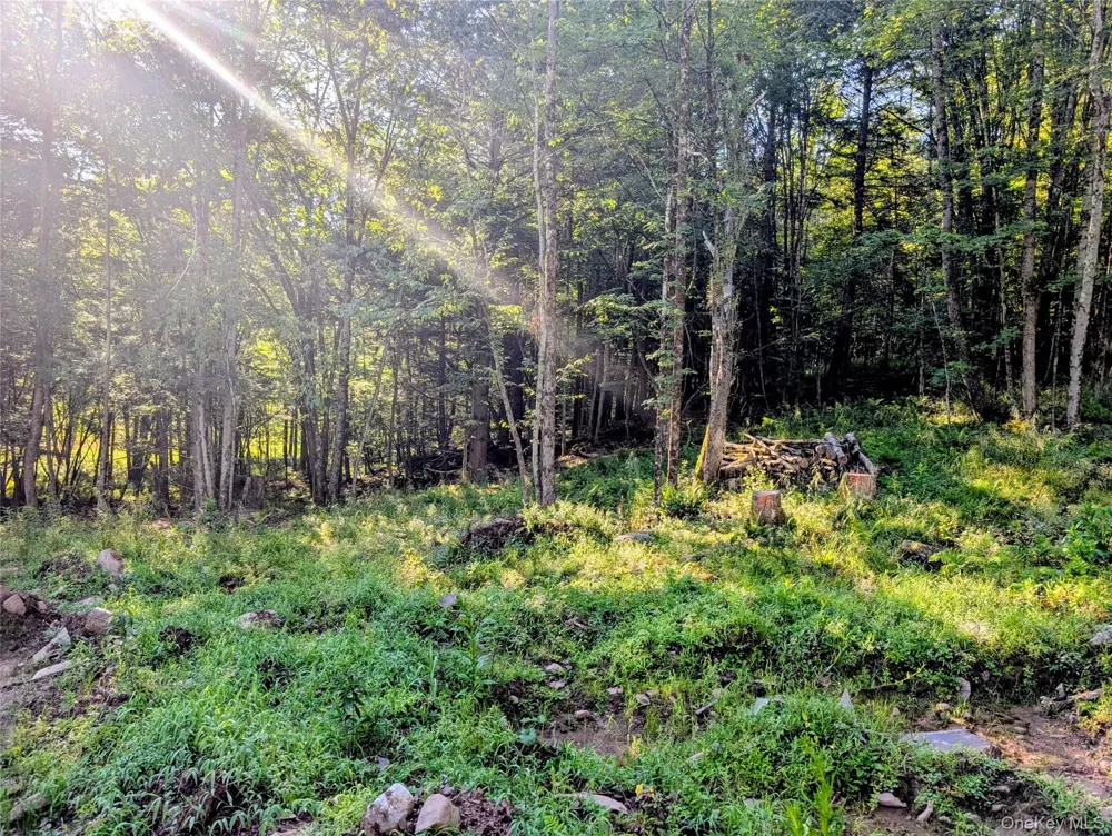 Hurd Road Swan Lake, NY 12720